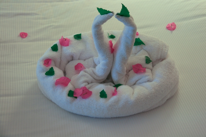 Vakantie Egypte 2010-455.jpg